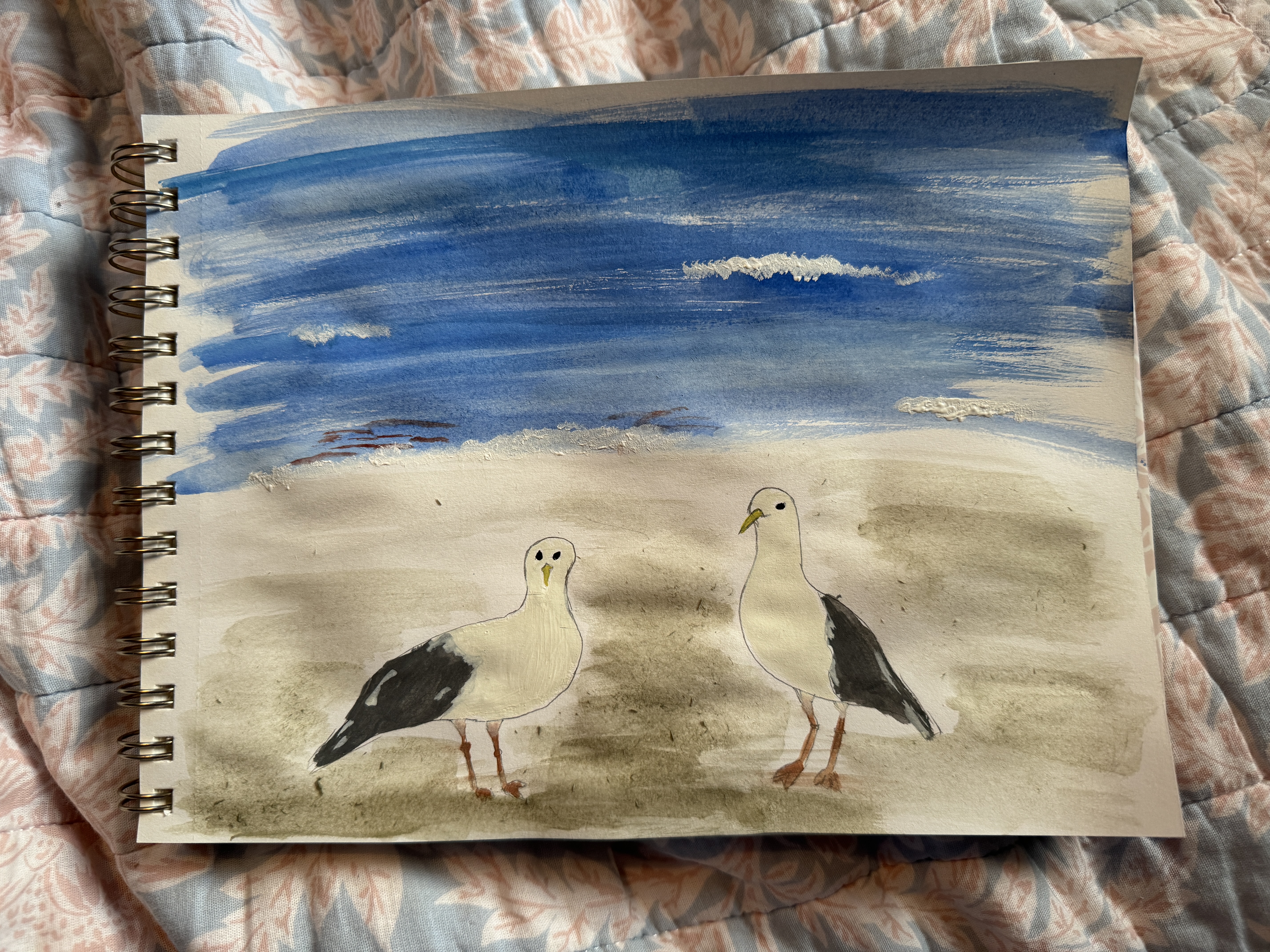 seagulls